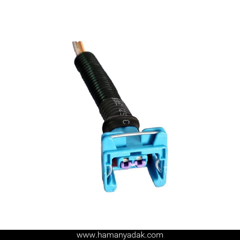 سوکت 2 فیش همه کاره آبی برند +BBZ