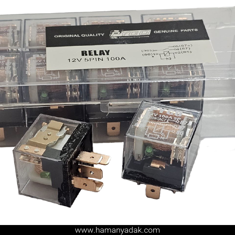 رله 5 فیش شیشه ای 100 آمپر 2 پلاتین