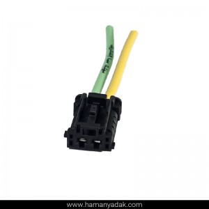 سوکت 2 فیش BSM مشکی پژو 206 برند +BBZ