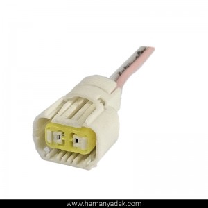 سوکت 2 فیش پروژکتور ال 90 طرح جدید برند +BBZ