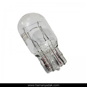 لامپ آریایی بزرگ دو کنتاکت T20 برند Lee Tech