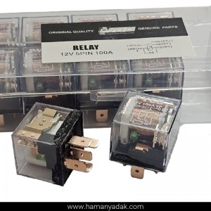 رله 5 فیش شیشه ای 100 آمپر 2 پلاتین
