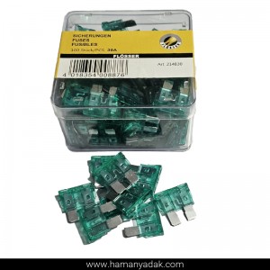 فیوز دوشاخ شیشه ای 30 آمپر