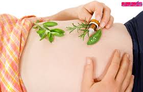 گیاهان دارویی خطرناک در دوران بارداری