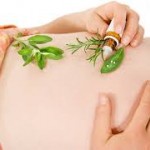 گیاهان دارویی خطرناک در دوران بارداری