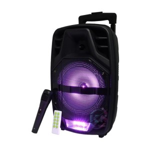 اسپیکر بلوتوثی قابل حمل مدل KTS-1193