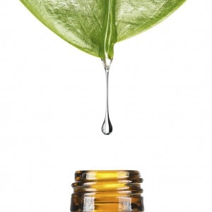 روغن درخت چای مخصوص پوست صورت