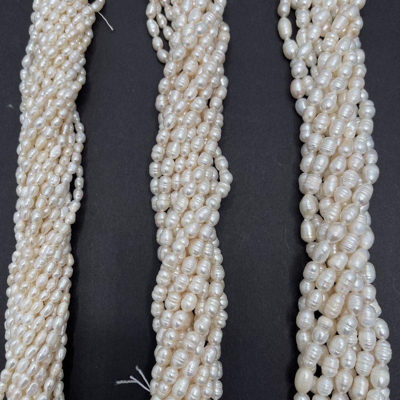 مروارید پرورشی گندمی(۳)