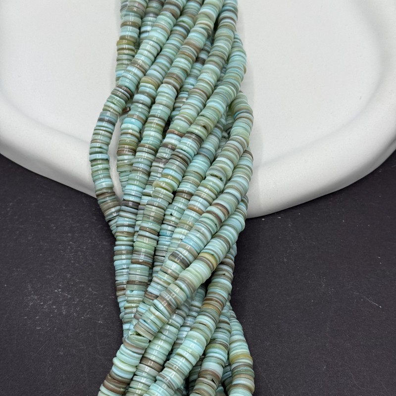 صدف واشری(۲)