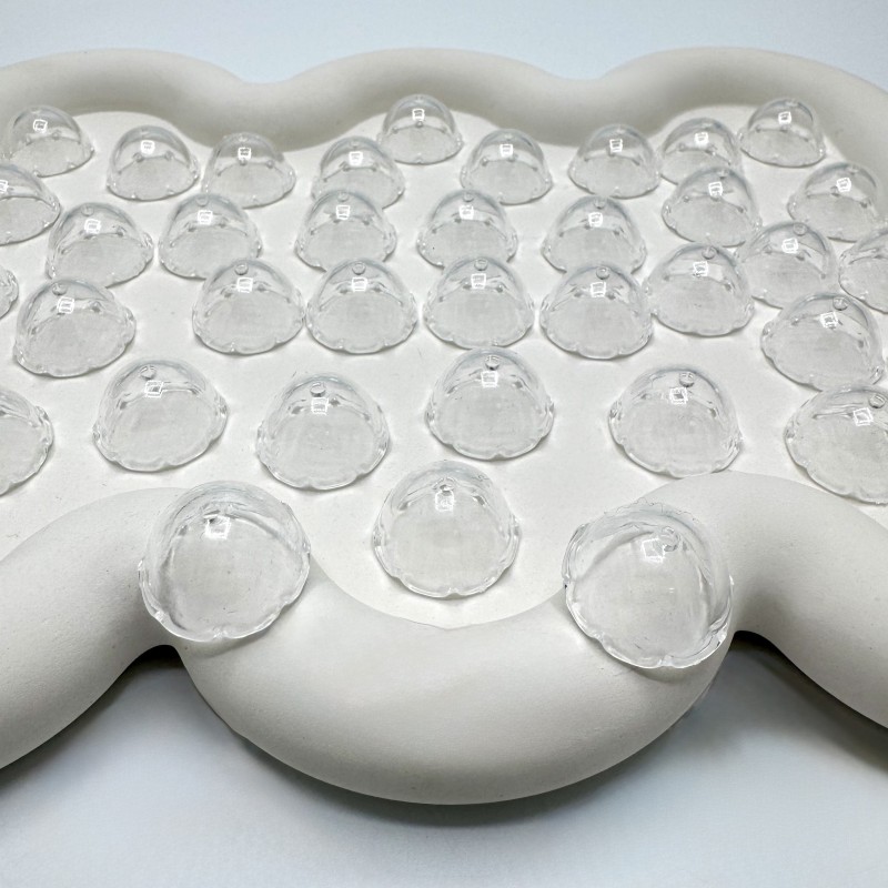 مهره عروس دریایی(۴)