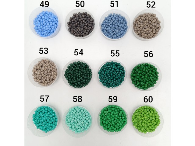 منجوق درشت (۵)