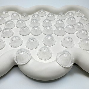 مهره عروس دریایی(۴)