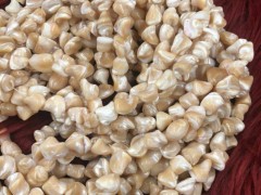 صدفی نامنظم اعلا