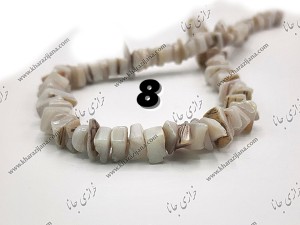 صدف نا منظم (۲)