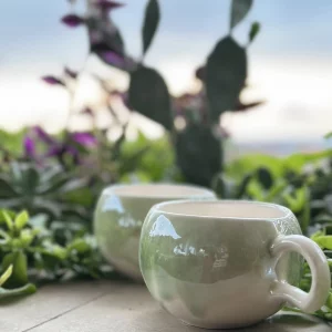 ماگ آبرنگى