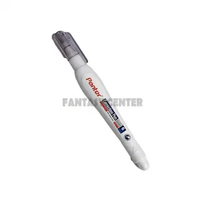 غلط گیر پنتر