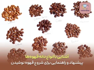 آشنایی با انواع دانه قهوه‌ها
