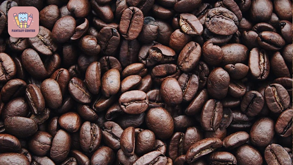 حکم نهایی برای تازهکارها