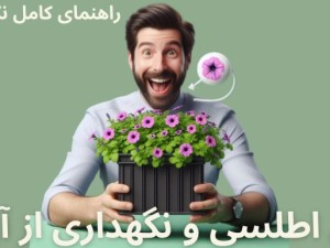 چطور گل‌های اطلسی شاداب داشته باشیم؟