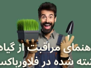 راهنمای مراقبت گیاه، داخل فلاورباکس