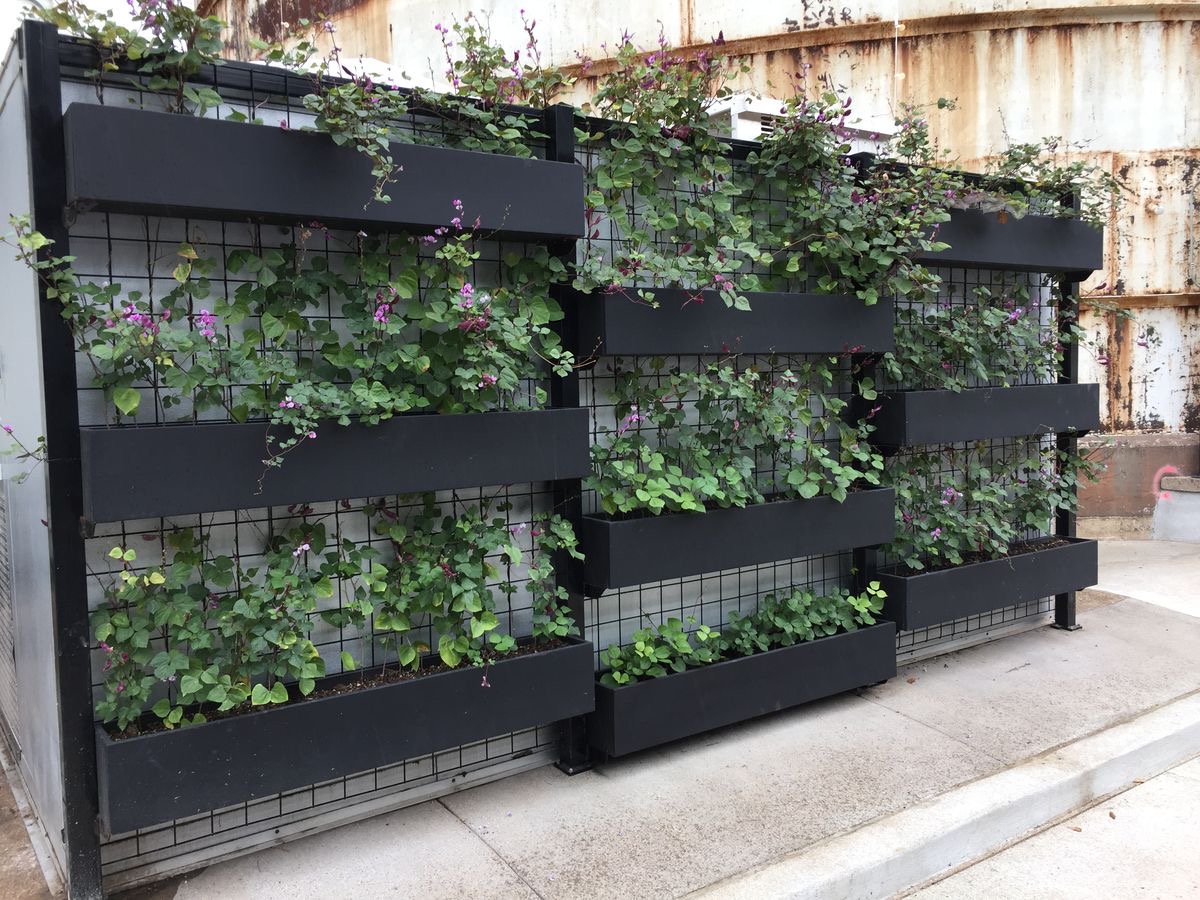 فلاور باکس دیواری