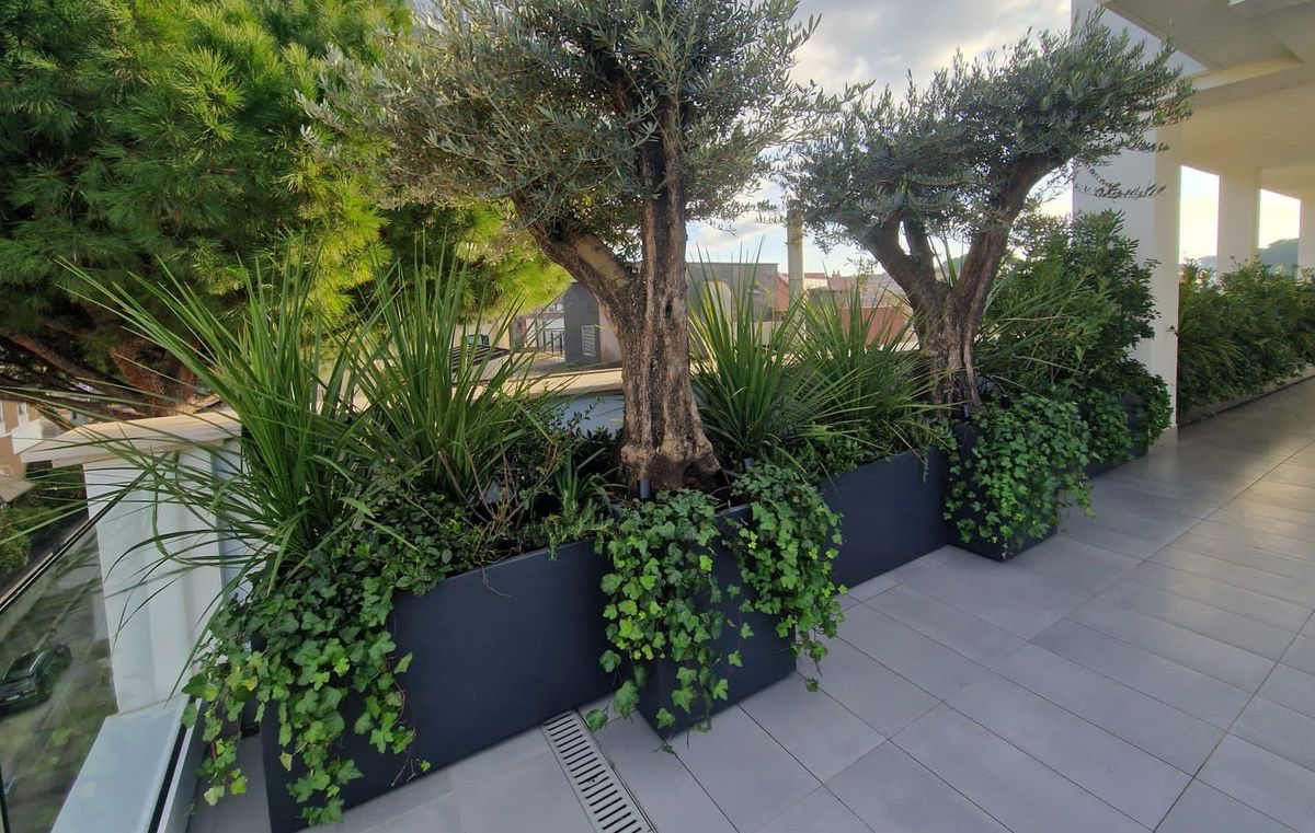 فلاور باکس تراس