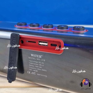 اسپیکر وستر مدل WS-318