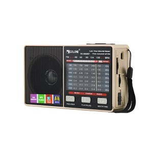 خرید رادیو اسپیکر گولون RX-8866BT