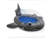 استخر کوسه همراه با اسپری آب