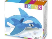 دلفین بادی (58523)