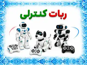 ربات کنترلی