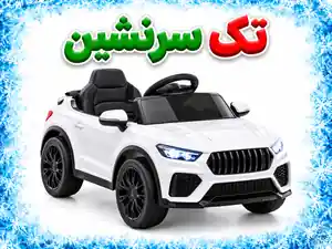 تک سرنشین