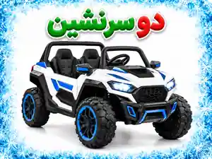 دو سرنشین