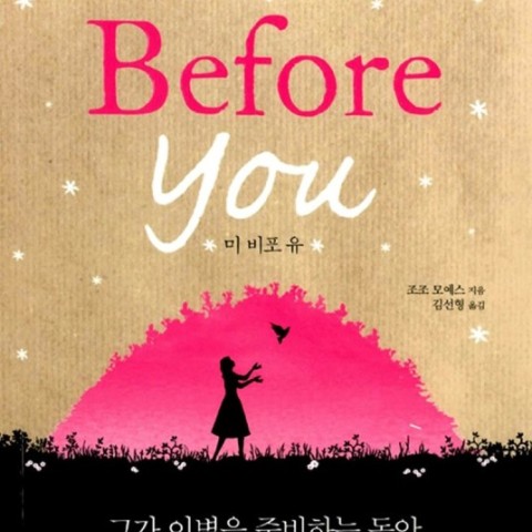 رمان من پیش از تو به کره ای اثر جوجو مویز 미 비포 유 / Me Before You