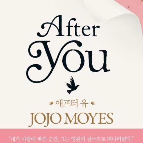 رمان پس از تو به کره ای اثر جوجو مویز 애프터 유 / After You