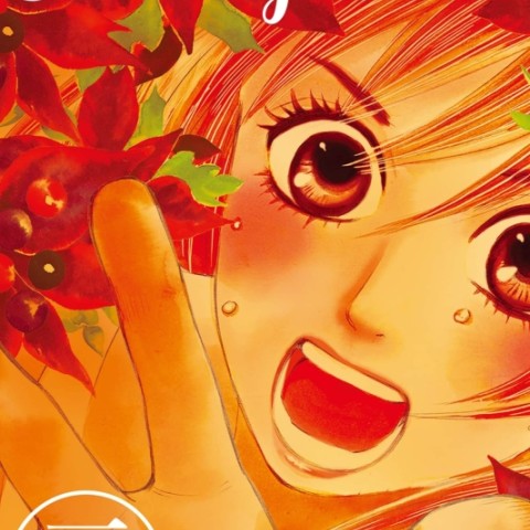 خرید مانگا Chihayafuru مانگای چیهایا به زبان انگلیسی