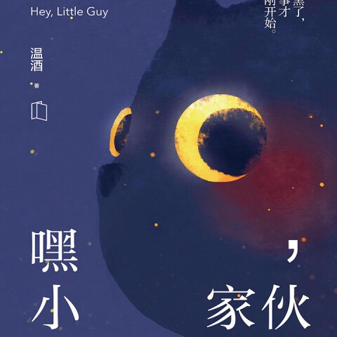 خرید رمان چینی 嘿 小家伙