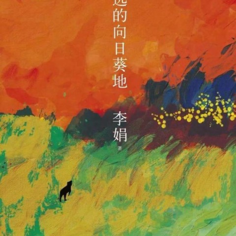 خرید رمان چینی مزرعه آفتابگردان دور 遥远的向日葵地