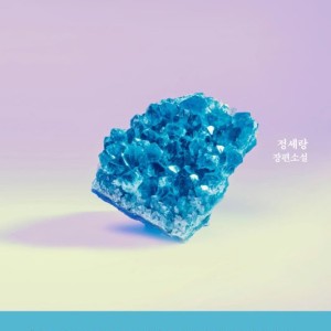 خرید رمان کره ای 시선으로부터 از نویسنده کره ای 정세랑