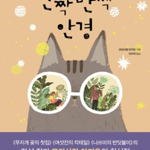 رمان کره ای 반짝반짝 안경 اثر 모리사와 아키오