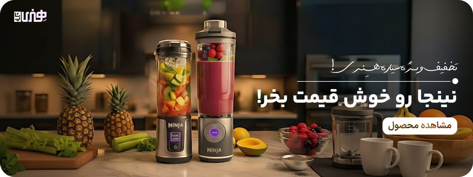 Ninja Blast Portable Blender