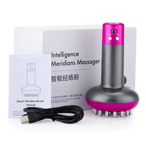intelligence-Meridians-massager2