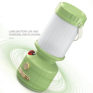 Fancy camping LED flashlight (4)