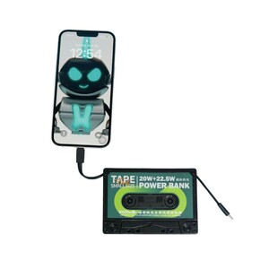 Remax 10000mAh power bank (2)