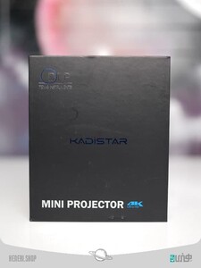 Mini media perjector