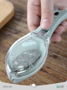 پولک گیر ماهی Fish scales