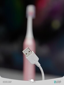 Miniso Sonic Toothbrush