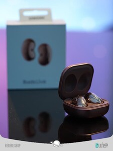 photo_2021-09-13_04-36-02 (2)