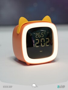 cute pet TV