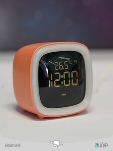 cute pet TV
